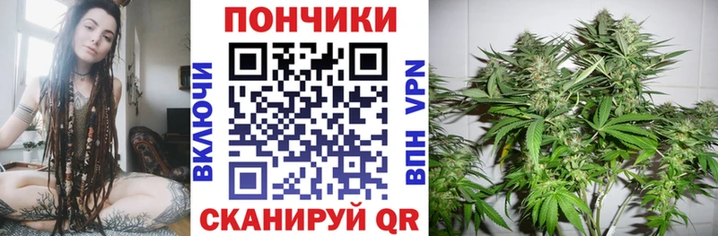 A PVP Обь