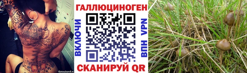 Купить  Обь  Галлюциногенные грибы ЛСД 